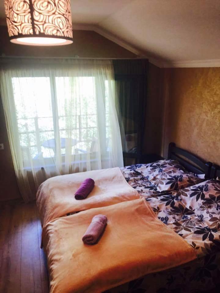 Bed and Breakfast Metitsa Юта Екстер'єр фото